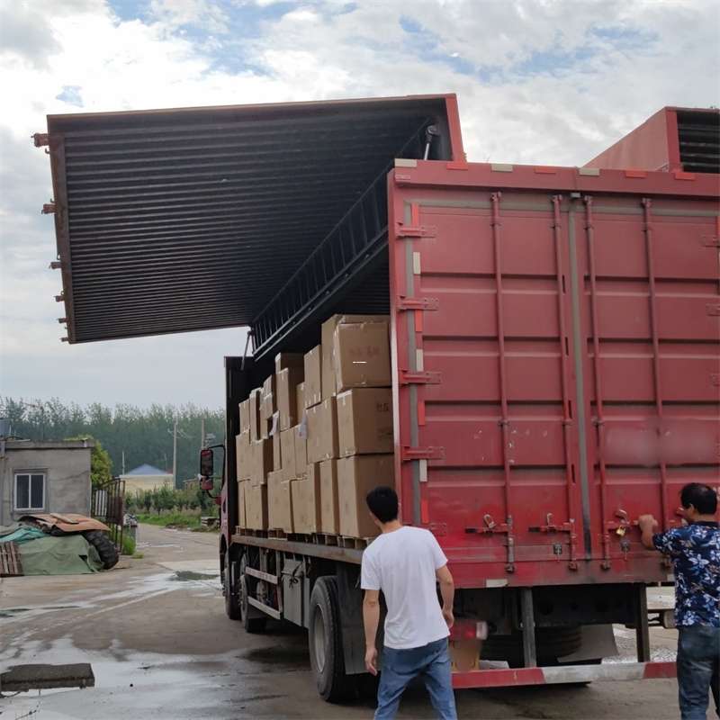 滨海新区扎囊县：物流专线的高效货运之旅