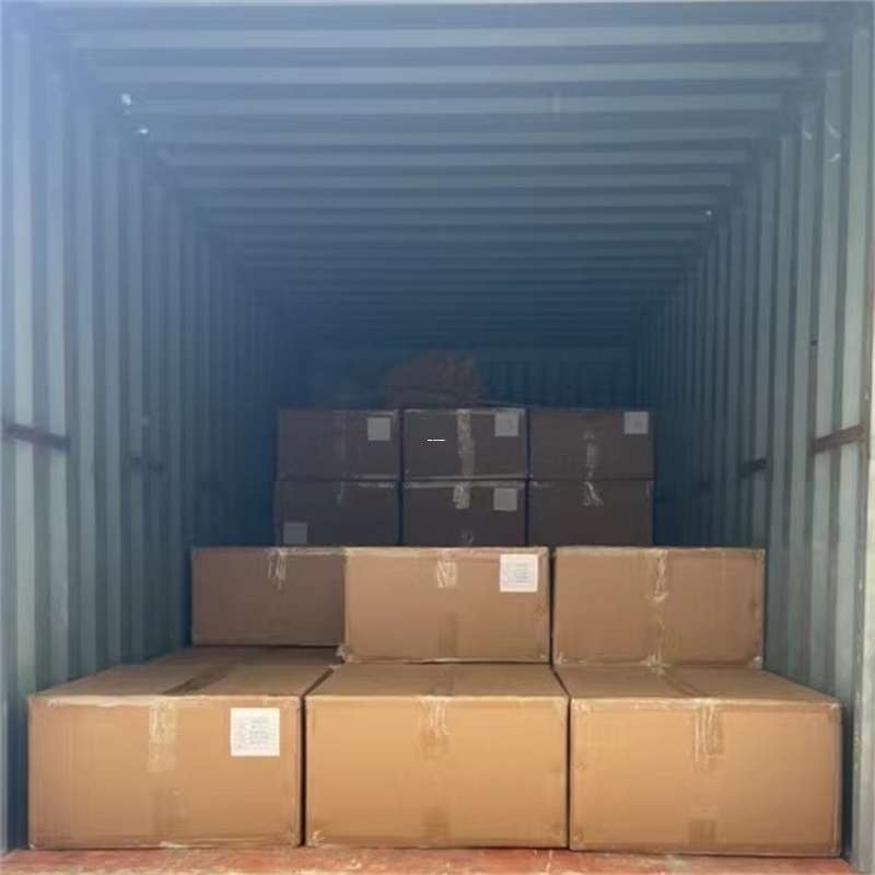 滨海新区桑珠孜区：物流专线的高效货运之旅